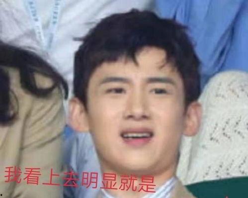 娱乐吃瓜酱神仙,揭秘神仙明星背后的故事