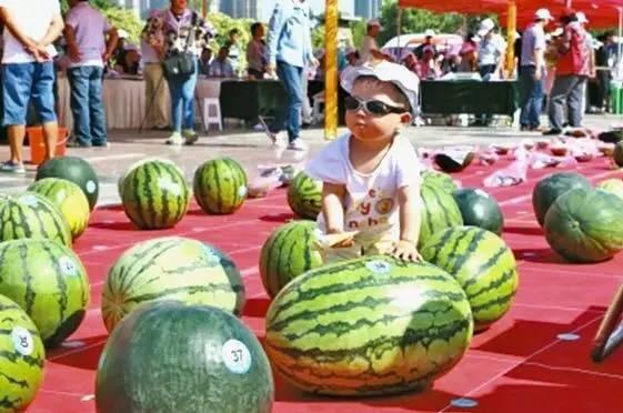 每日大赛在线吃瓜入口,在线吃瓜入口，揭秘精彩瞬间