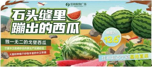 每日大赛在线吃瓜入口,在线吃瓜入口，揭秘精彩瞬间